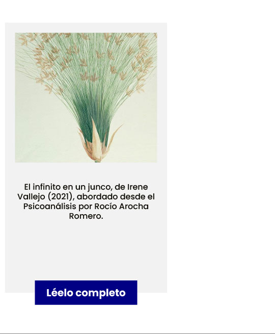 Artículo adicional 2